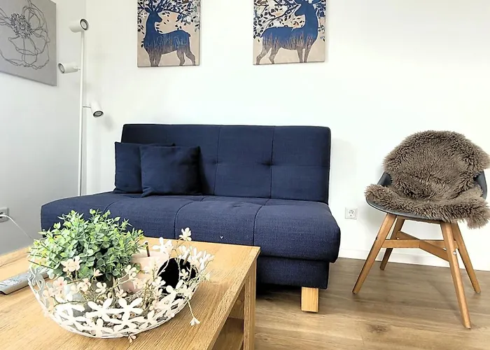 Penthouse 21125 Appartement Winterberg